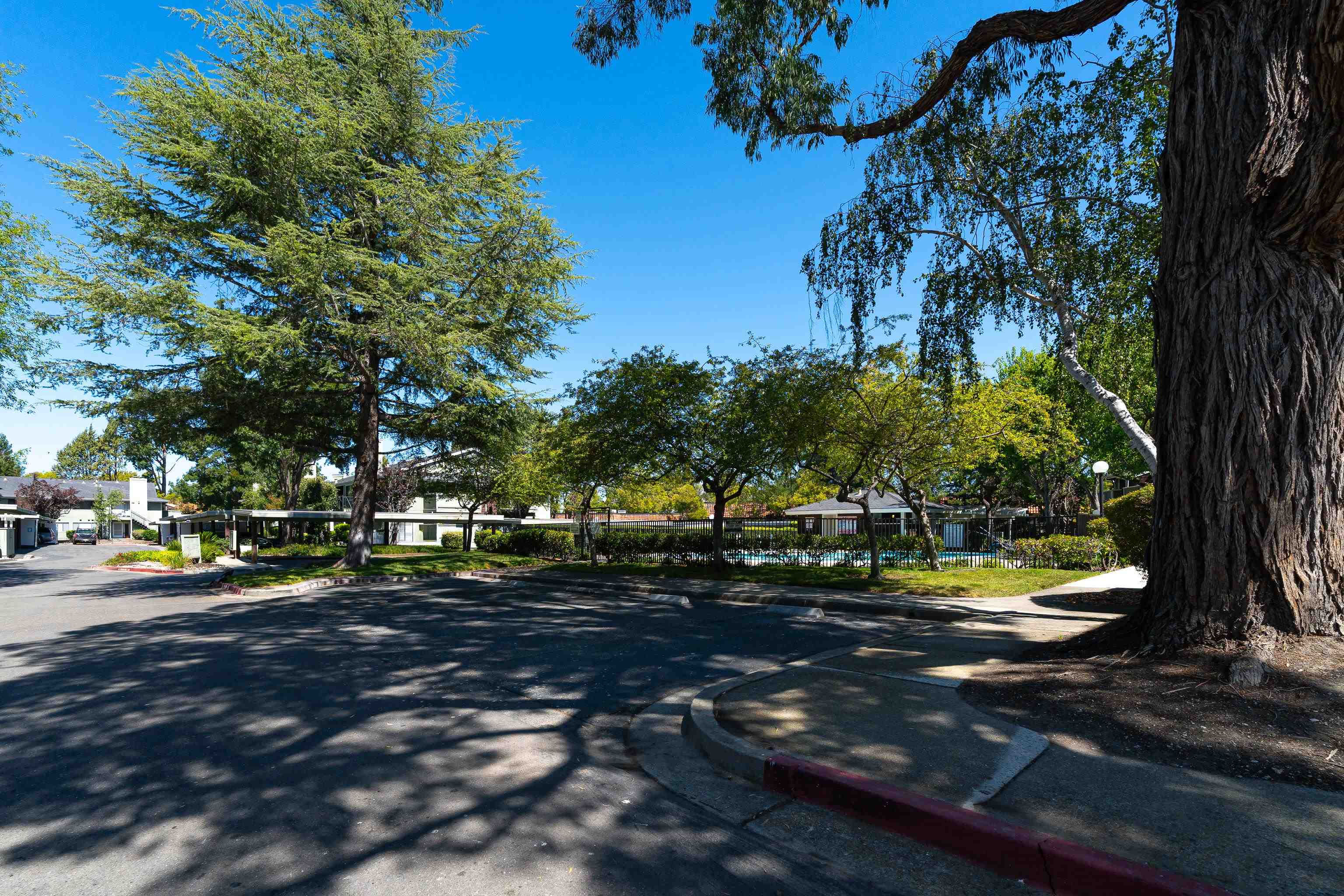 Photo #24: 41123764 Listing: Photo #24