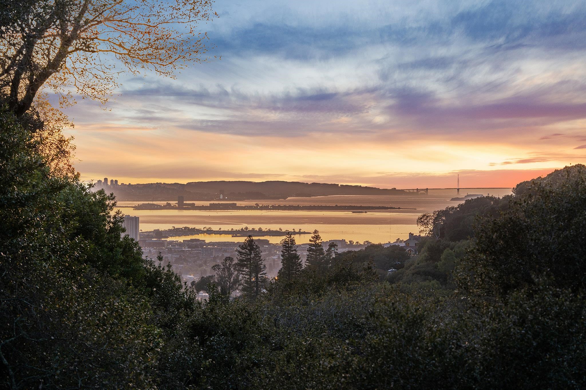 Detail Gallery Image 9 of 40 For 1375 Alvarado Rd, Berkeley,  CA 94705 - 3 Beds | 2 Baths