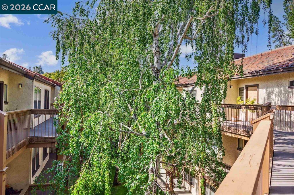 Photo #22: 41123793 Listing: Photo #22