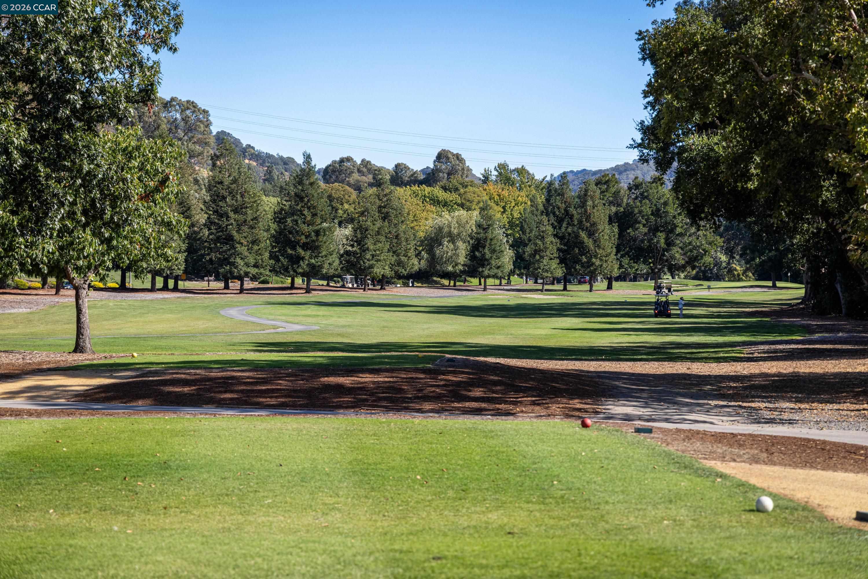 Photo #29: 41123794 Listing: Photo #29