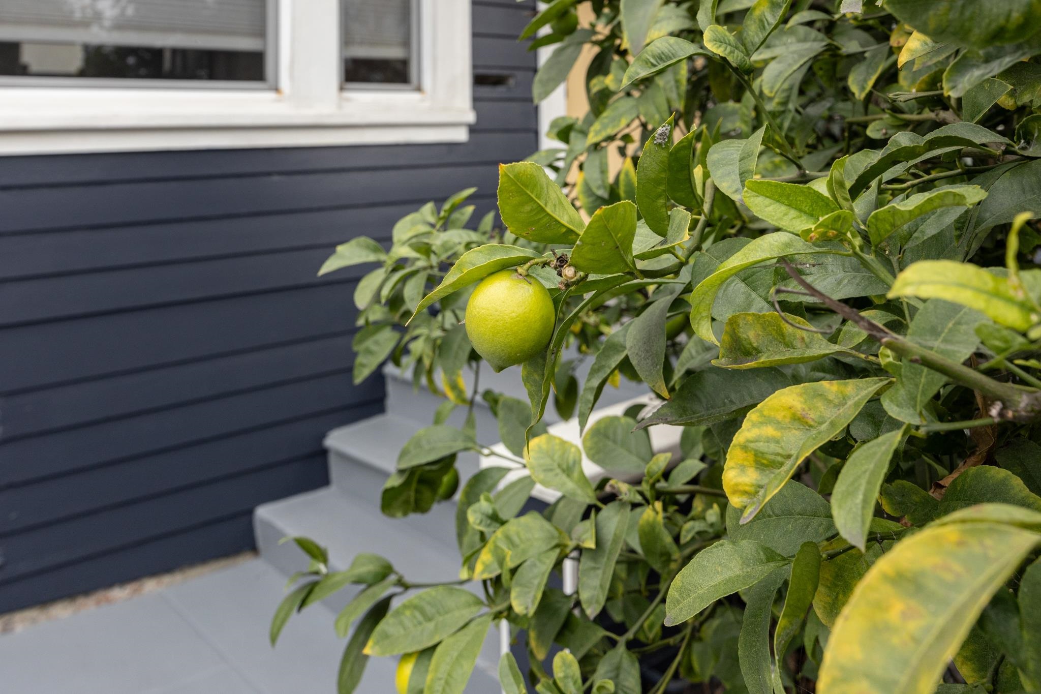 Detail Gallery Image 41 of 43 For 1538 20th Ave, Oakland,  CA 94606 - 2 Beds | 1 Baths