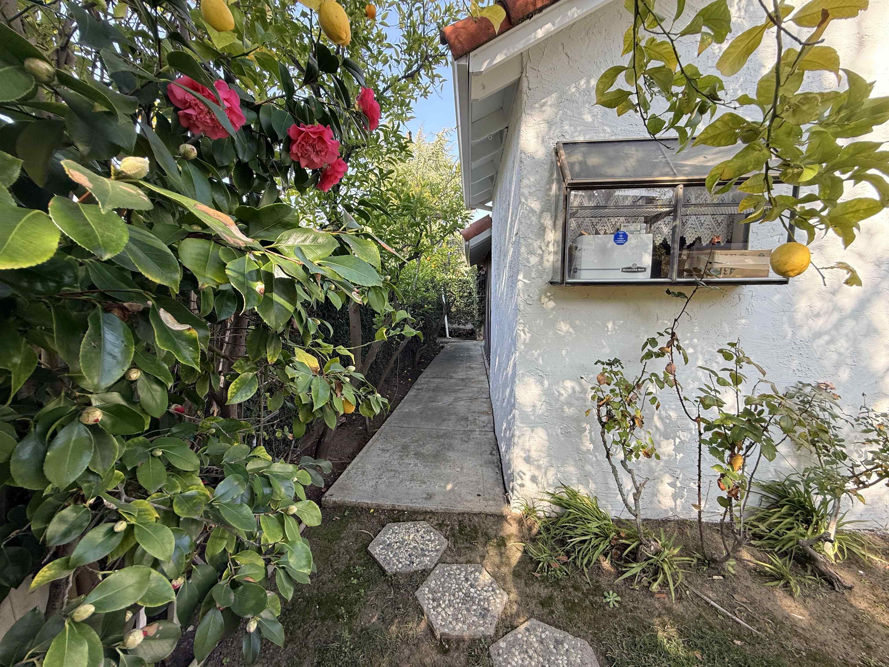 Detail Gallery Image 12 of 14 For 2883 Bowling Green Dr, Walnut Creek,  CA 94598 - 4 Beds | 2 Baths