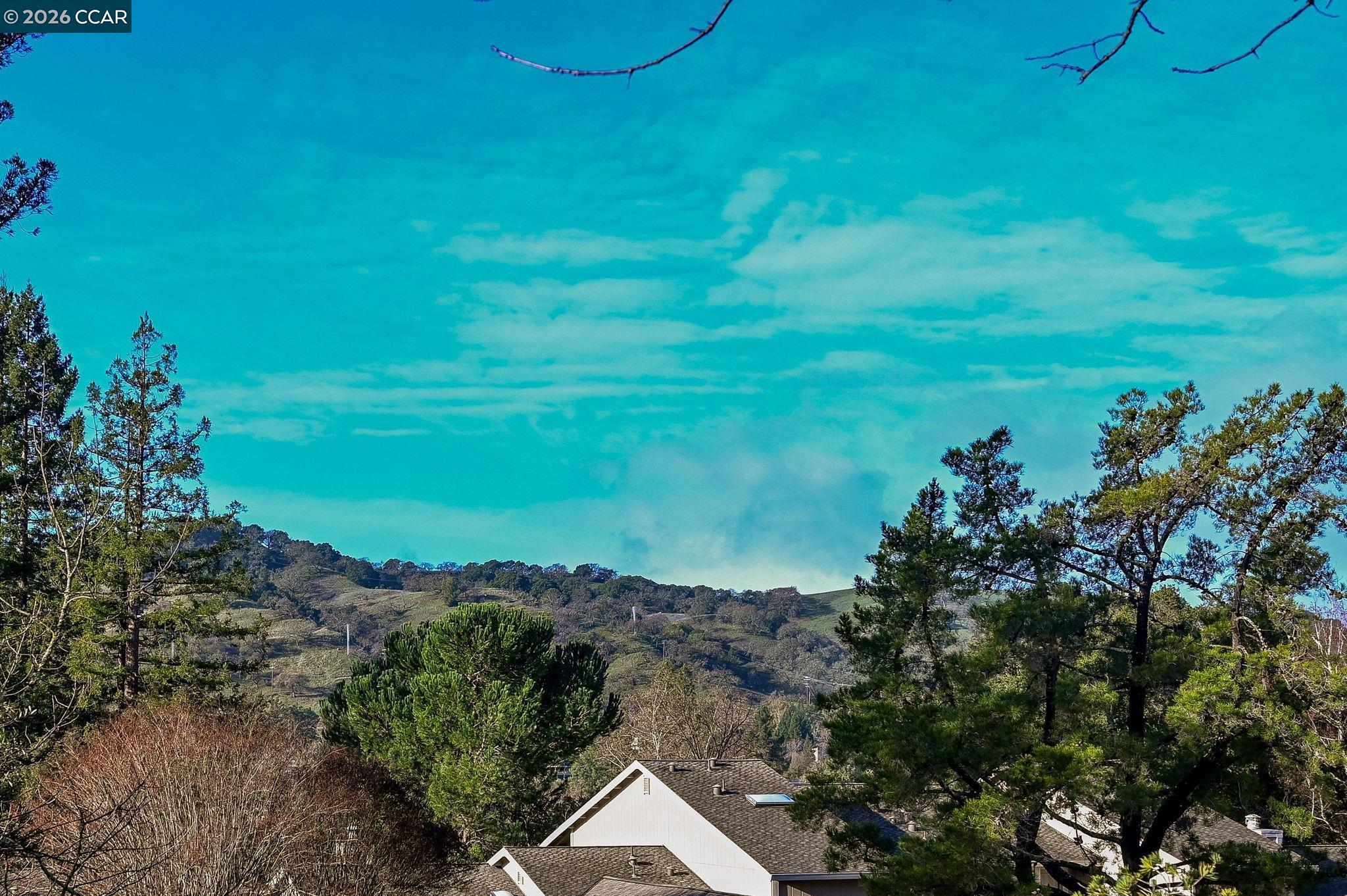 Detail Gallery Image 20 of 36 For 2110 Cactus Ct #6,  Walnut Creek,  CA 94595 - 2 Beds | 2 Baths