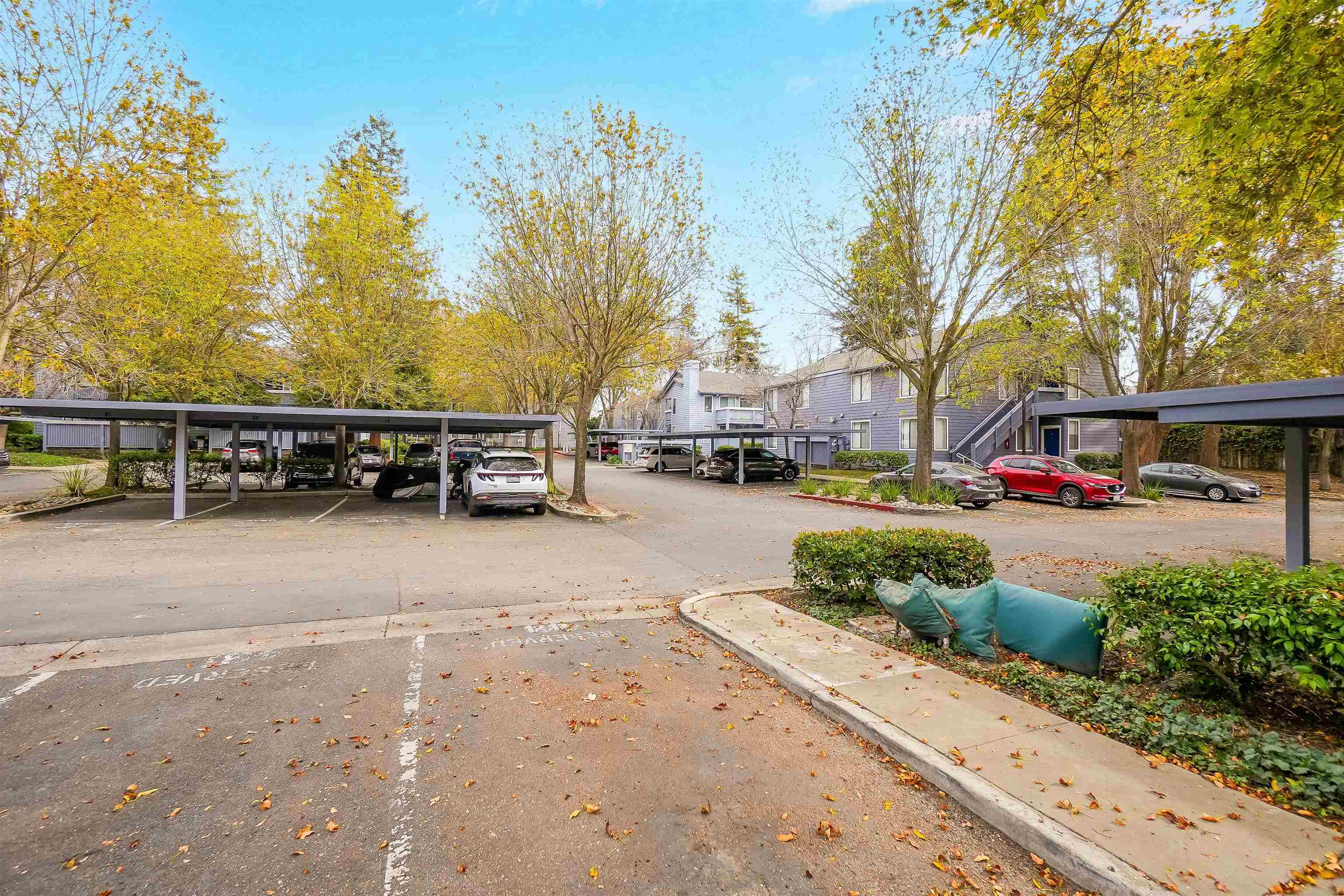 Photo #43: 41123830 Listing: Photo #43