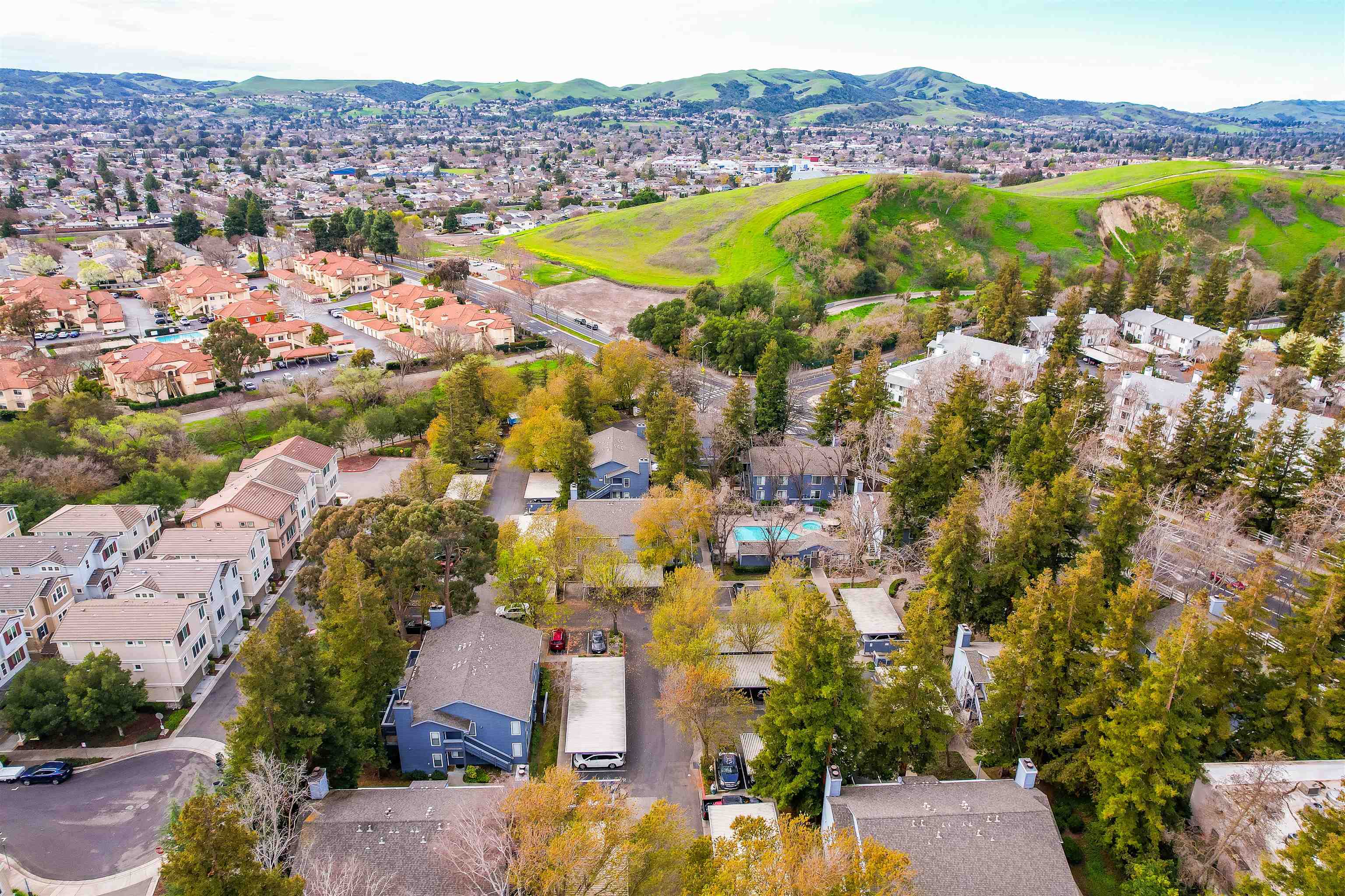 Photo #54: 41123830 Listing: Photo #54