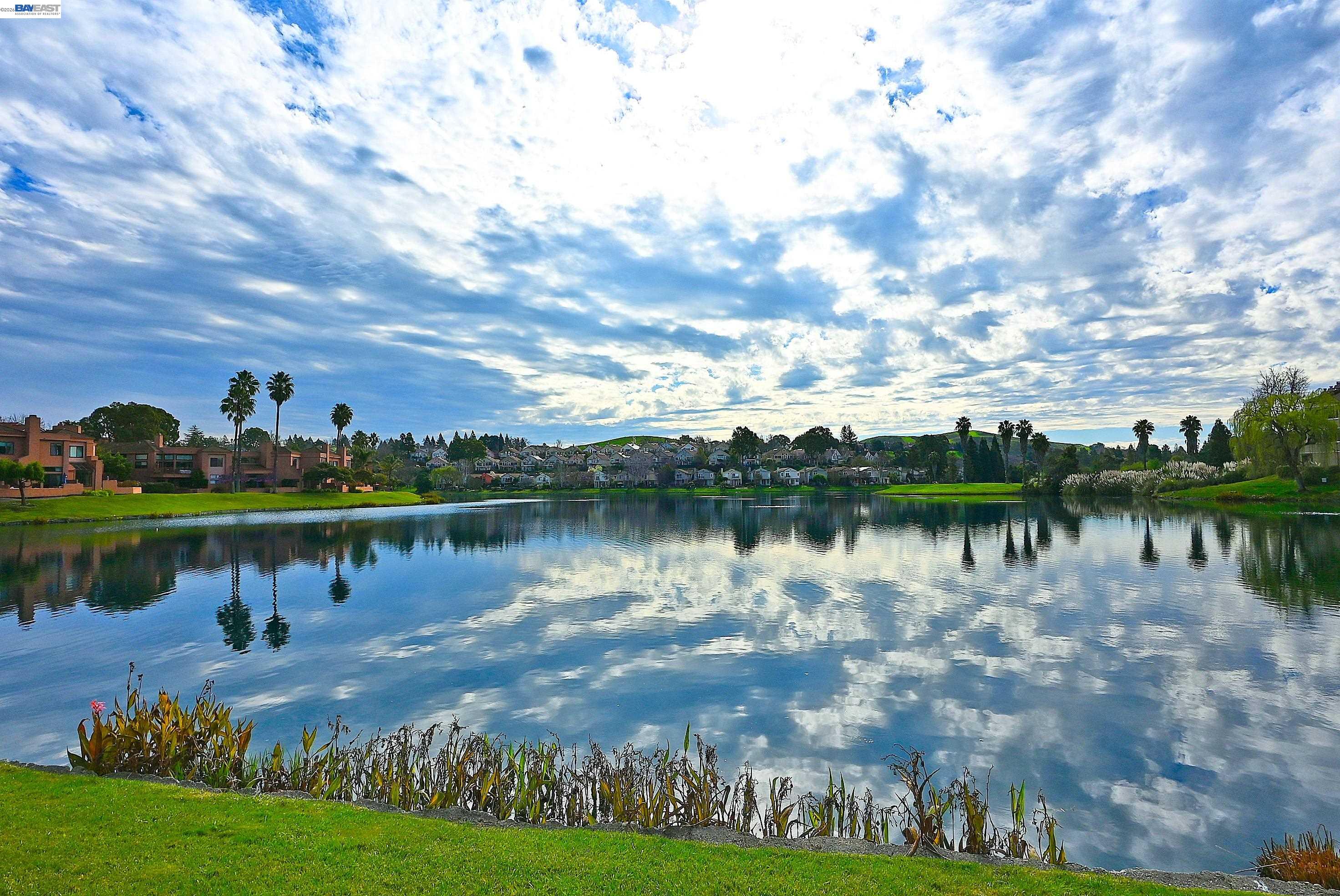 Photo #8: 41123834 Listing: Photo #8