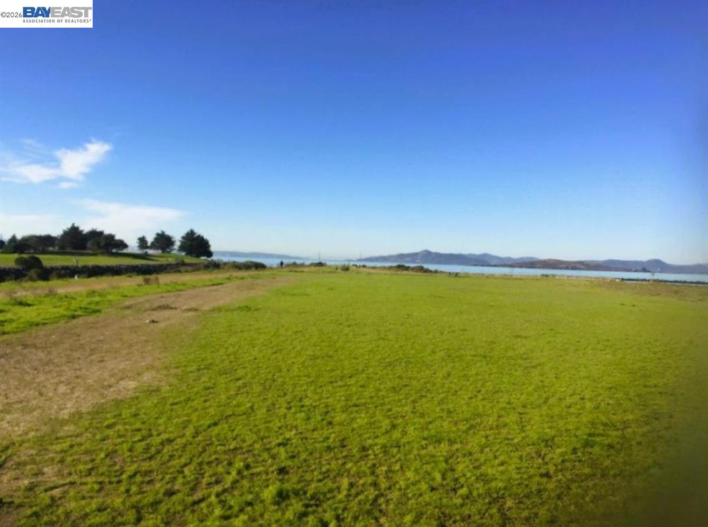 Detail Gallery Image 44 of 45 For 1250 Powell St #10,  Emeryville,  CA 94608 - 1 Beds | 1 Baths