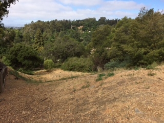 Detail Gallery Image 11 of 20 For 3257 Monterey Blvd., Oakland,  CA 94602 - – Beds | – Baths