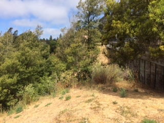 Detail Gallery Image 12 of 20 For 3257 Monterey Blvd., Oakland,  CA 94602 - – Beds | – Baths