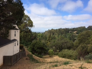 Detail Gallery Image 13 of 20 For 3257 Monterey Blvd., Oakland,  CA 94602 - – Beds | – Baths