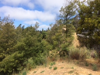 Detail Gallery Image 17 of 20 For 3257 Monterey Blvd., Oakland,  CA 94602 - – Beds | – Baths