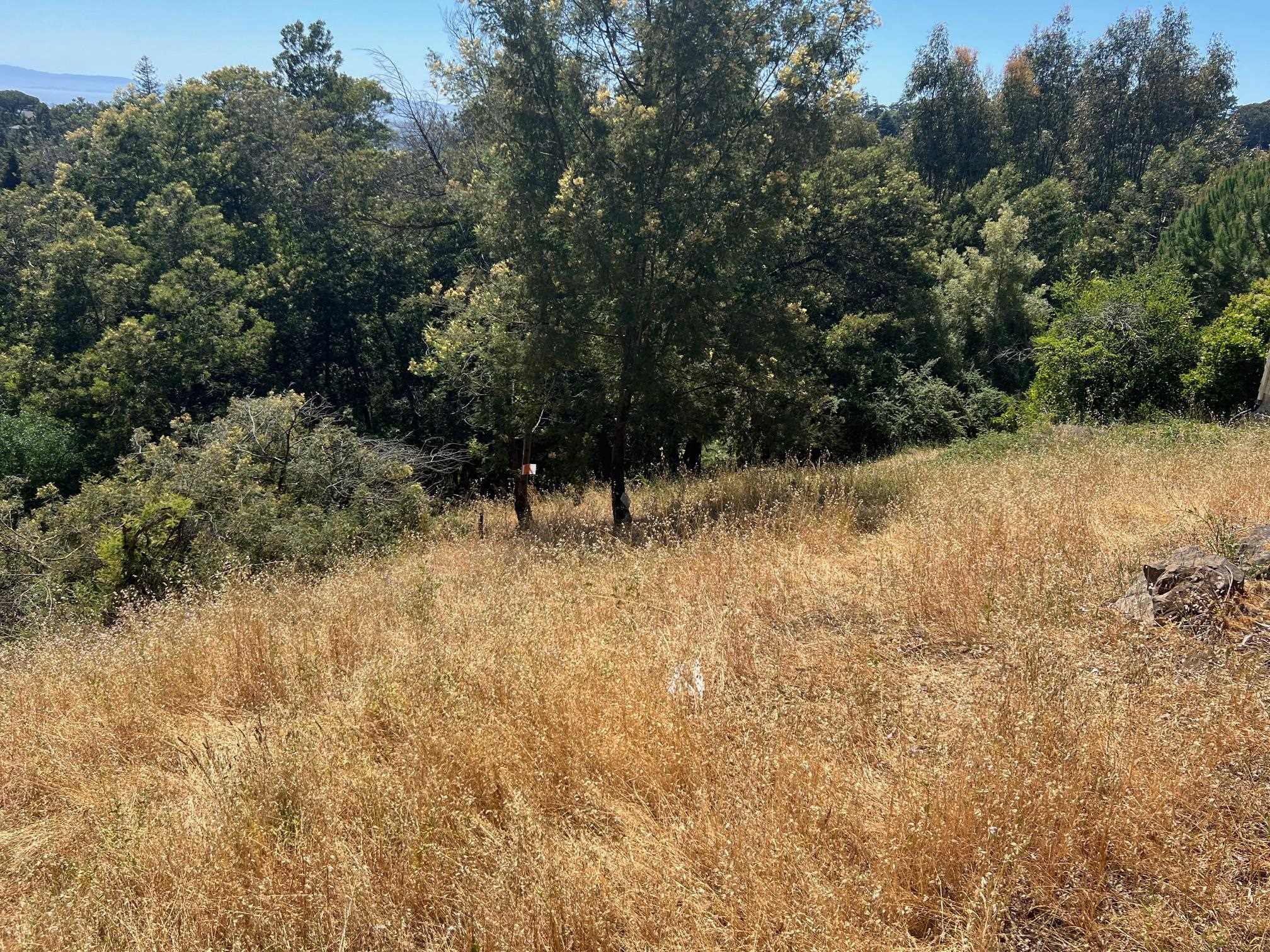 Detail Gallery Image 19 of 20 For 3257 Monterey Blvd., Oakland,  CA 94602 - – Beds | – Baths