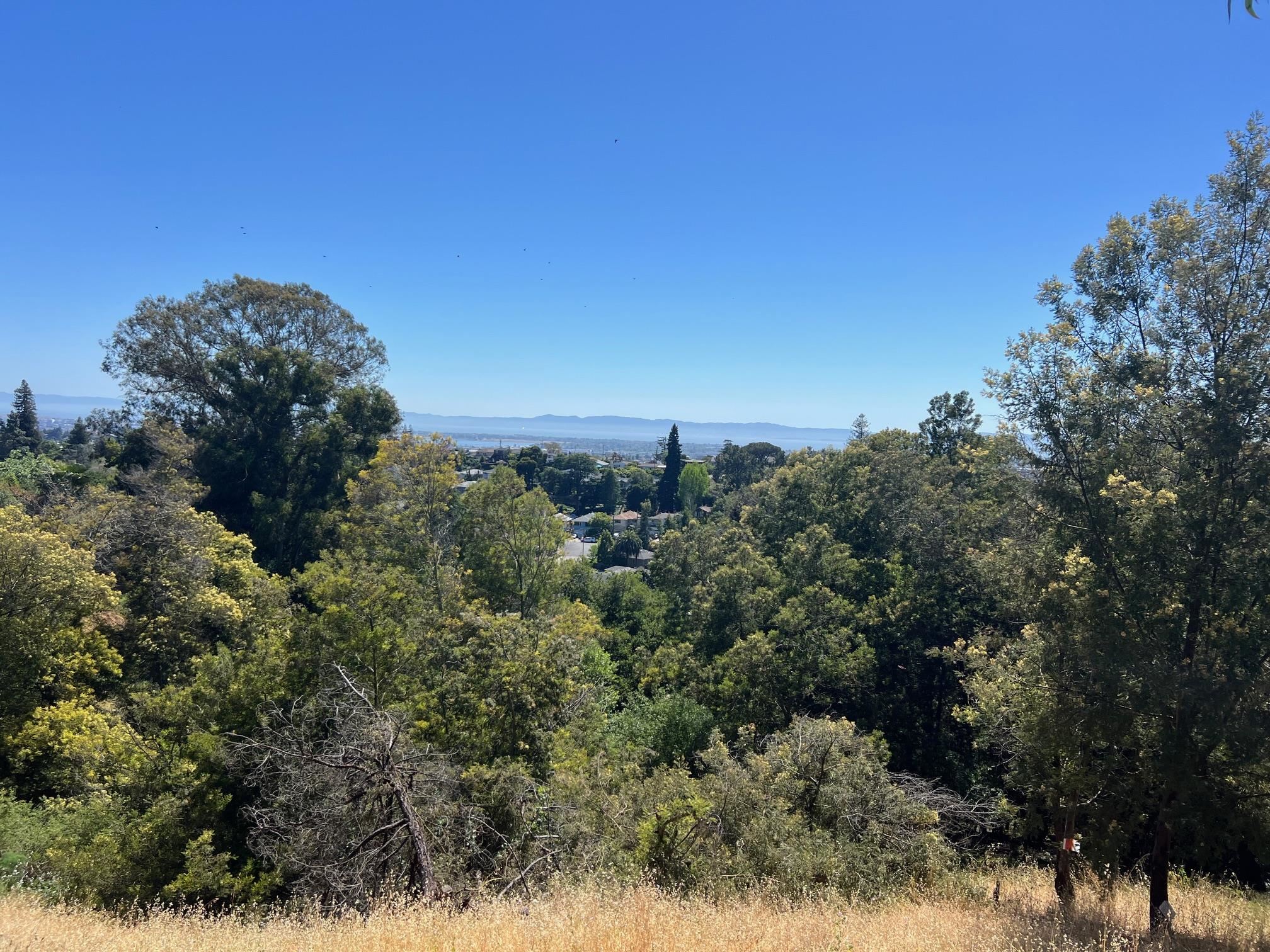 Detail Gallery Image 3 of 20 For 3257 Monterey Blvd., Oakland,  CA 94602 - – Beds | – Baths