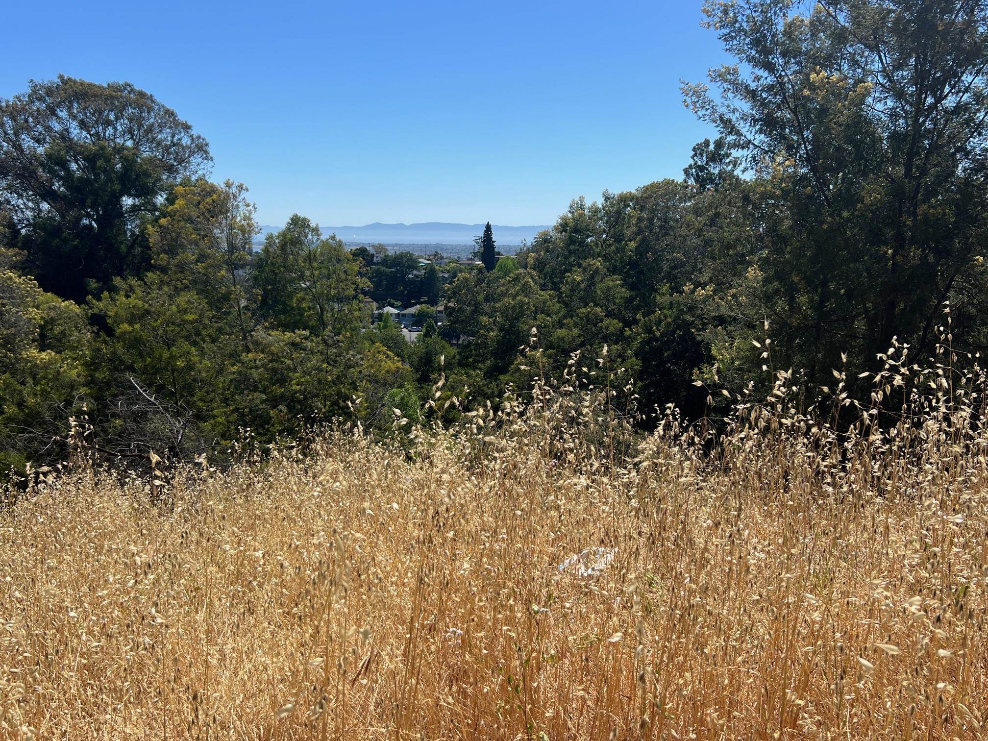 Detail Gallery Image 4 of 20 For 3257 Monterey Blvd., Oakland,  CA 94602 - – Beds | – Baths