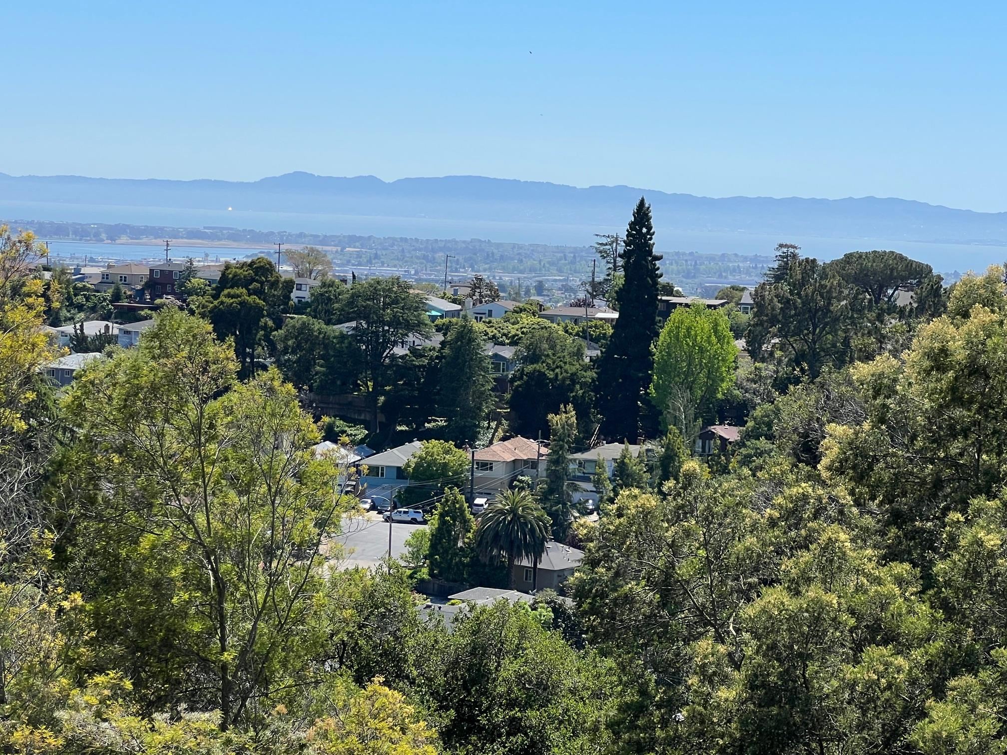 Detail Gallery Image 7 of 20 For 3257 Monterey Blvd., Oakland,  CA 94602 - – Beds | – Baths