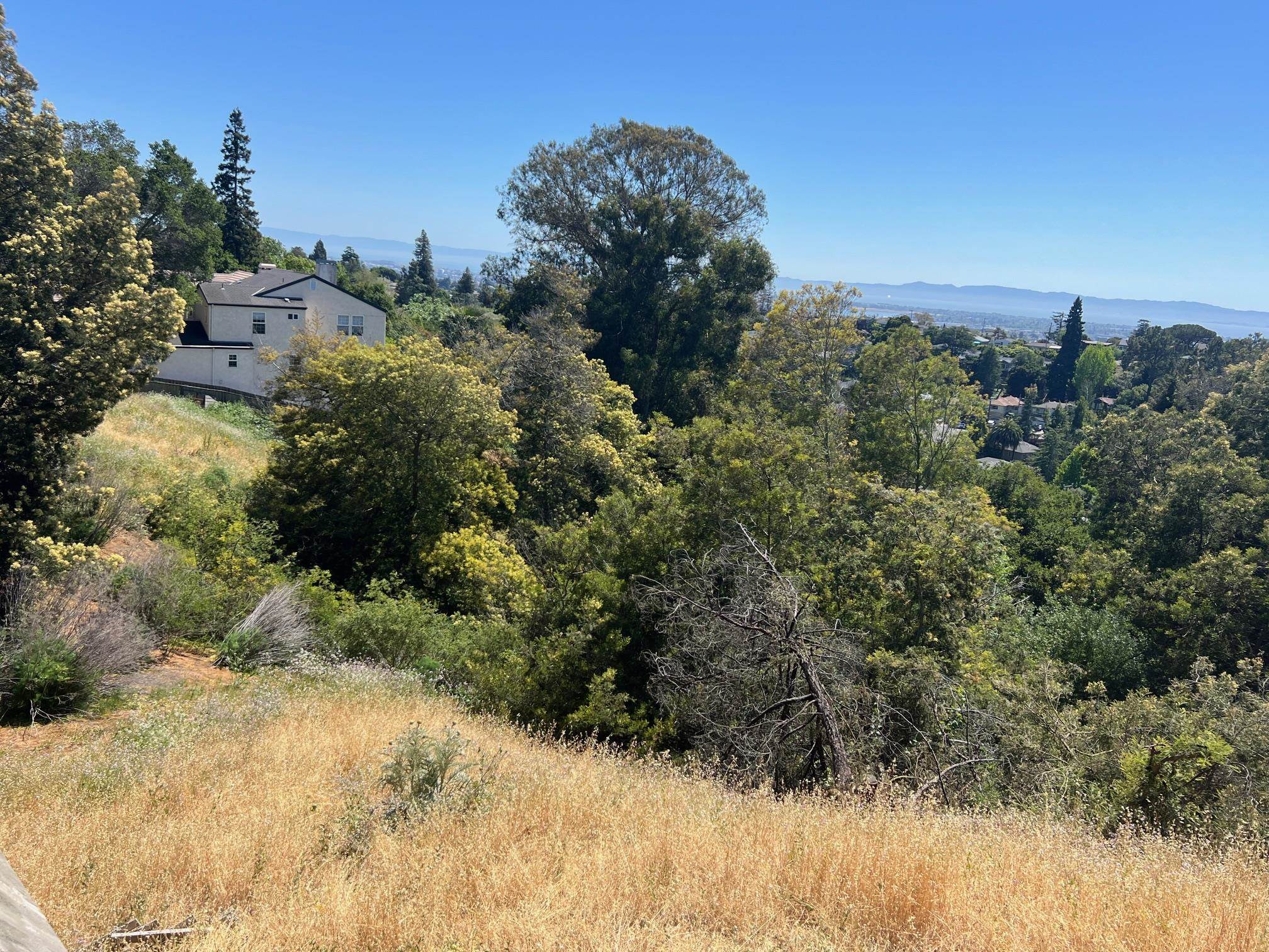 Detail Gallery Image 8 of 20 For 3257 Monterey Blvd., Oakland,  CA 94602 - – Beds | – Baths