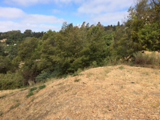 Detail Gallery Image 10 of 20 For 3257 Monterey Blvd., Oakland,  CA 94602 - – Beds | – Baths