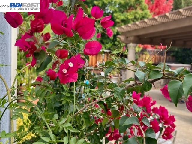 Detail Gallery Image 17 of 60 For 3421 Blackhawk Meadow Drive, Danville,  CA 94506 - 4 Beds | 3 Baths