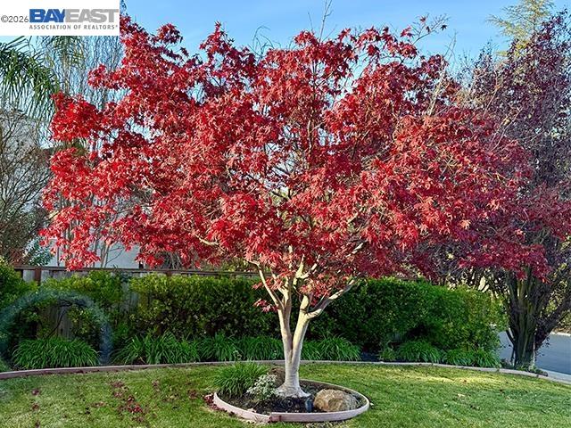 Detail Gallery Image 26 of 60 For 3421 Blackhawk Meadow Drive, Danville,  CA 94506 - 4 Beds | 3 Baths