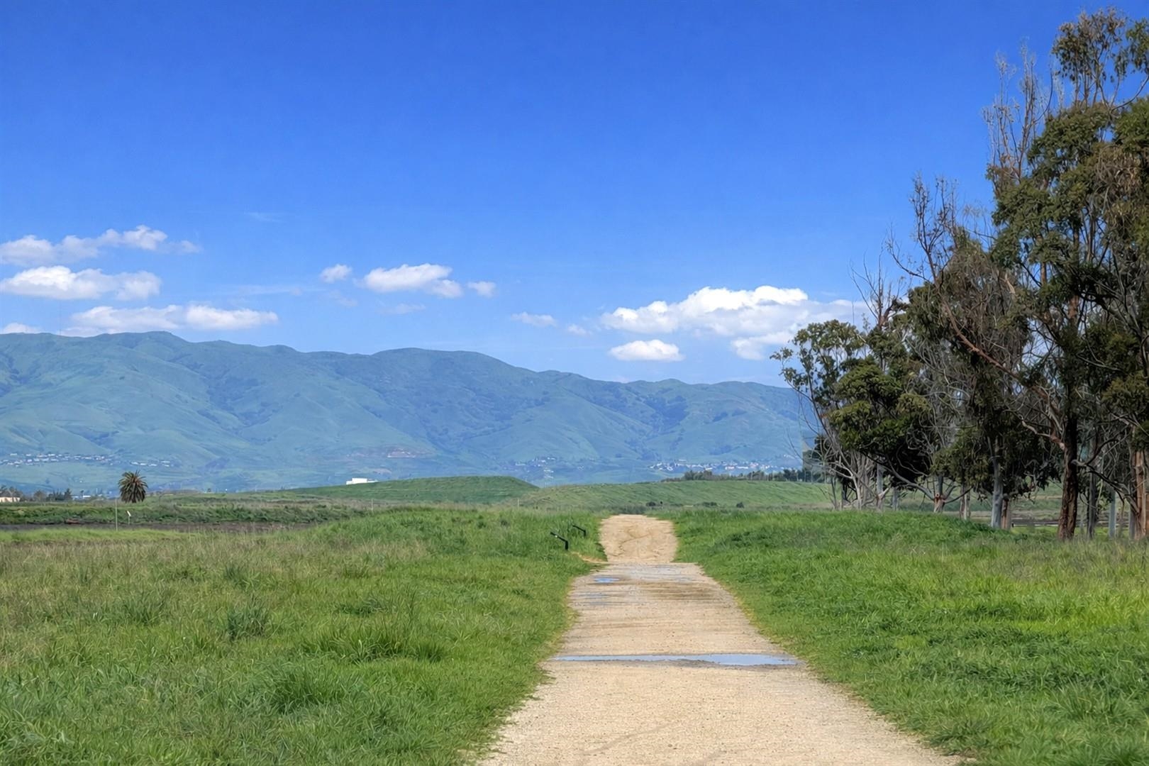 Detail Gallery Image 51 of 54 For 1189 Skylake Ct, Sunnyvale,  CA 94089 - 4 Beds | 3 Baths