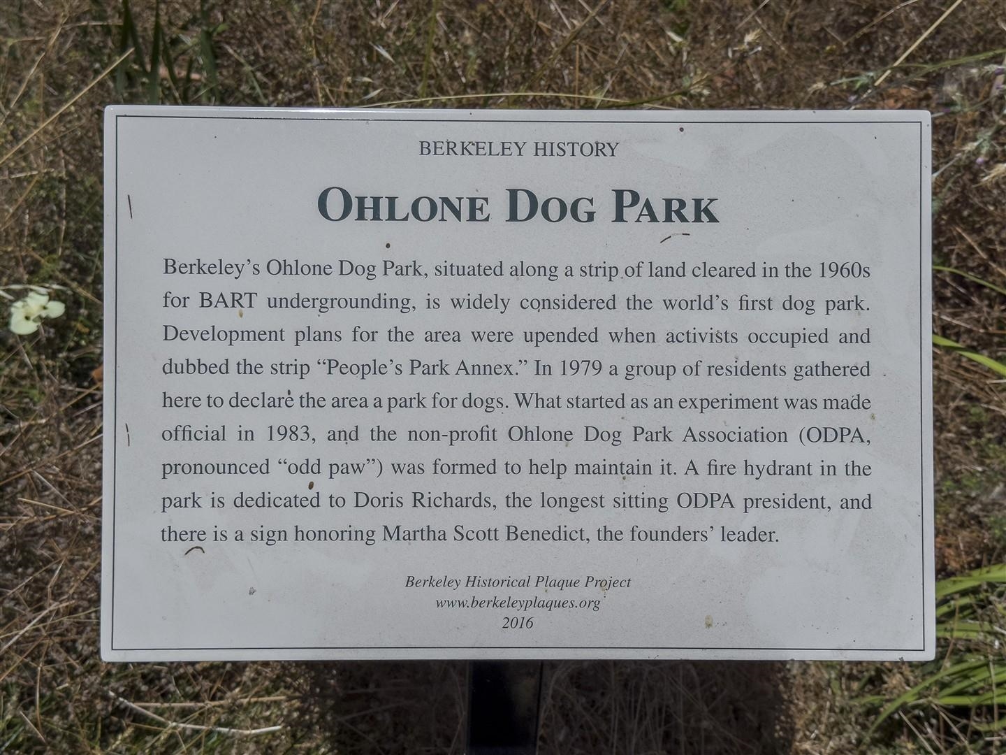 Detail Gallery Image 38 of 60 For 1436 Delaware St, Berkeley,  CA 94702 - 2 Beds | 1 Baths