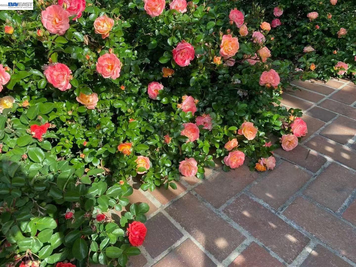 Detail Gallery Image 43 of 51 For 4022 Silver St, Pleasanton,  CA 94566 - 3 Beds | 2 Baths