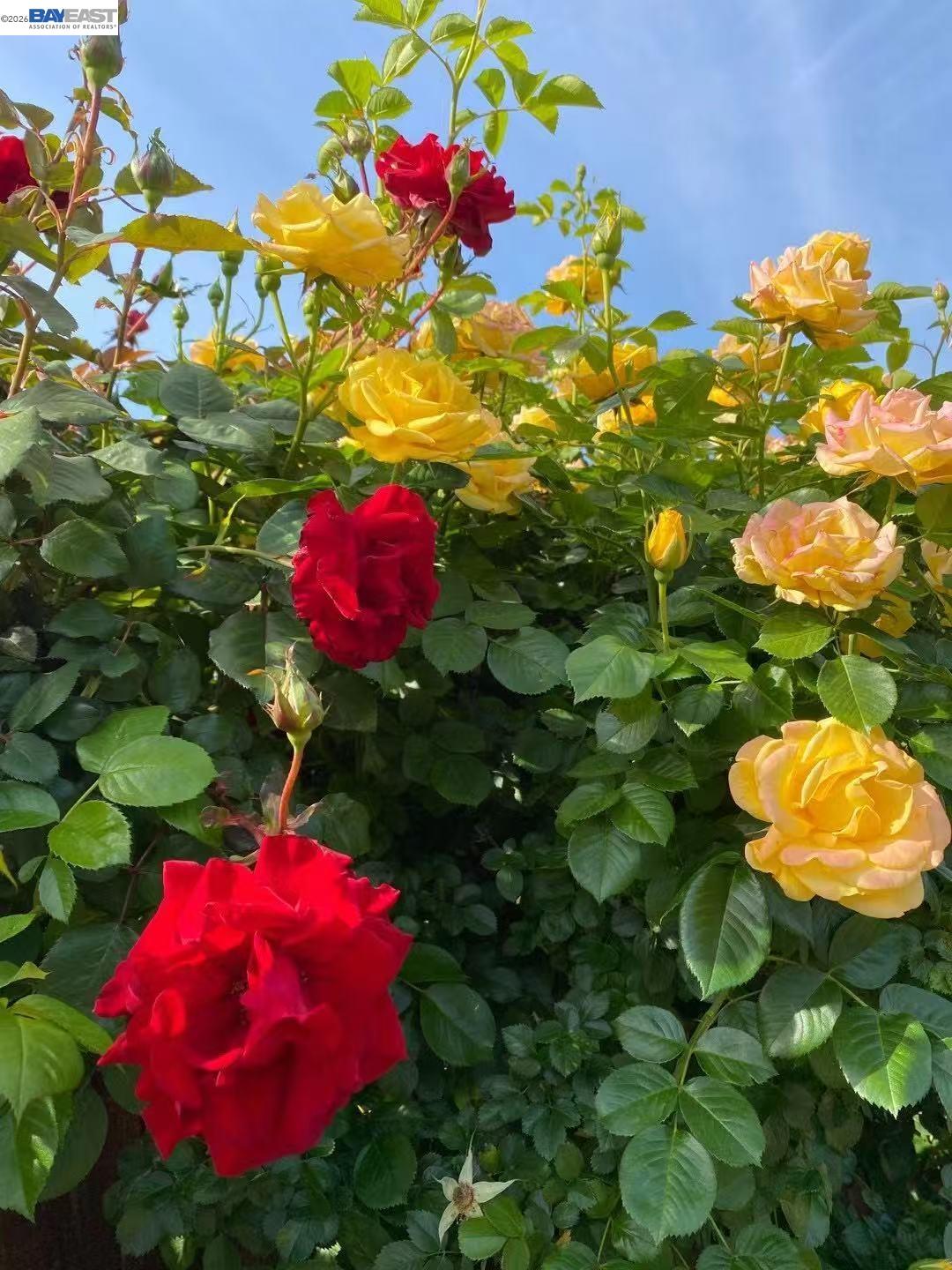 Detail Gallery Image 45 of 51 For 4022 Silver St, Pleasanton,  CA 94566 - 3 Beds | 2 Baths