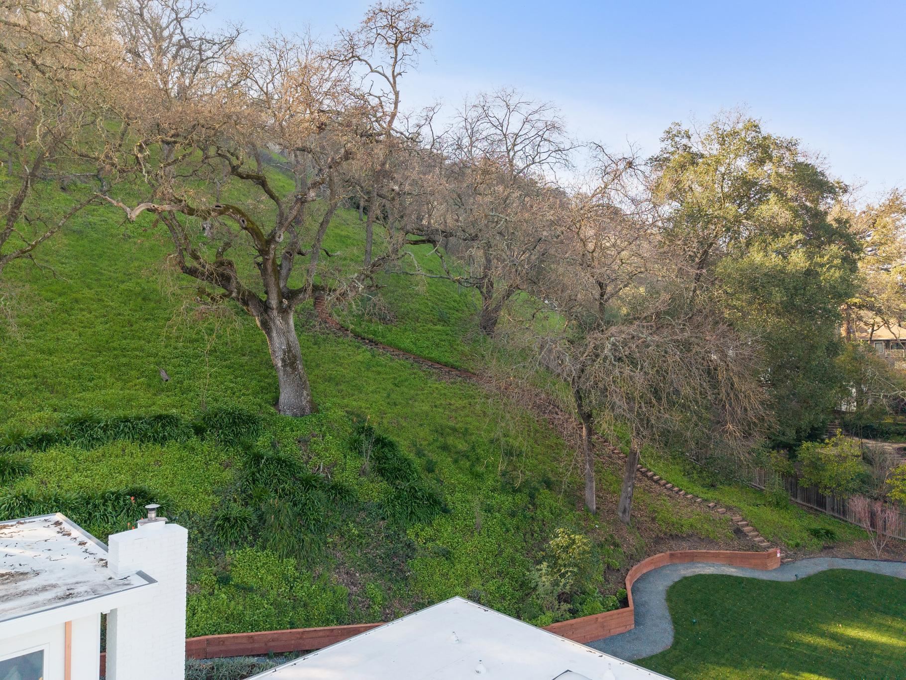 Detail Gallery Image 43 of 57 For 2435 Lunada, Alamo,  CA 94507-2610 - 3 Beds | 2/1 Baths