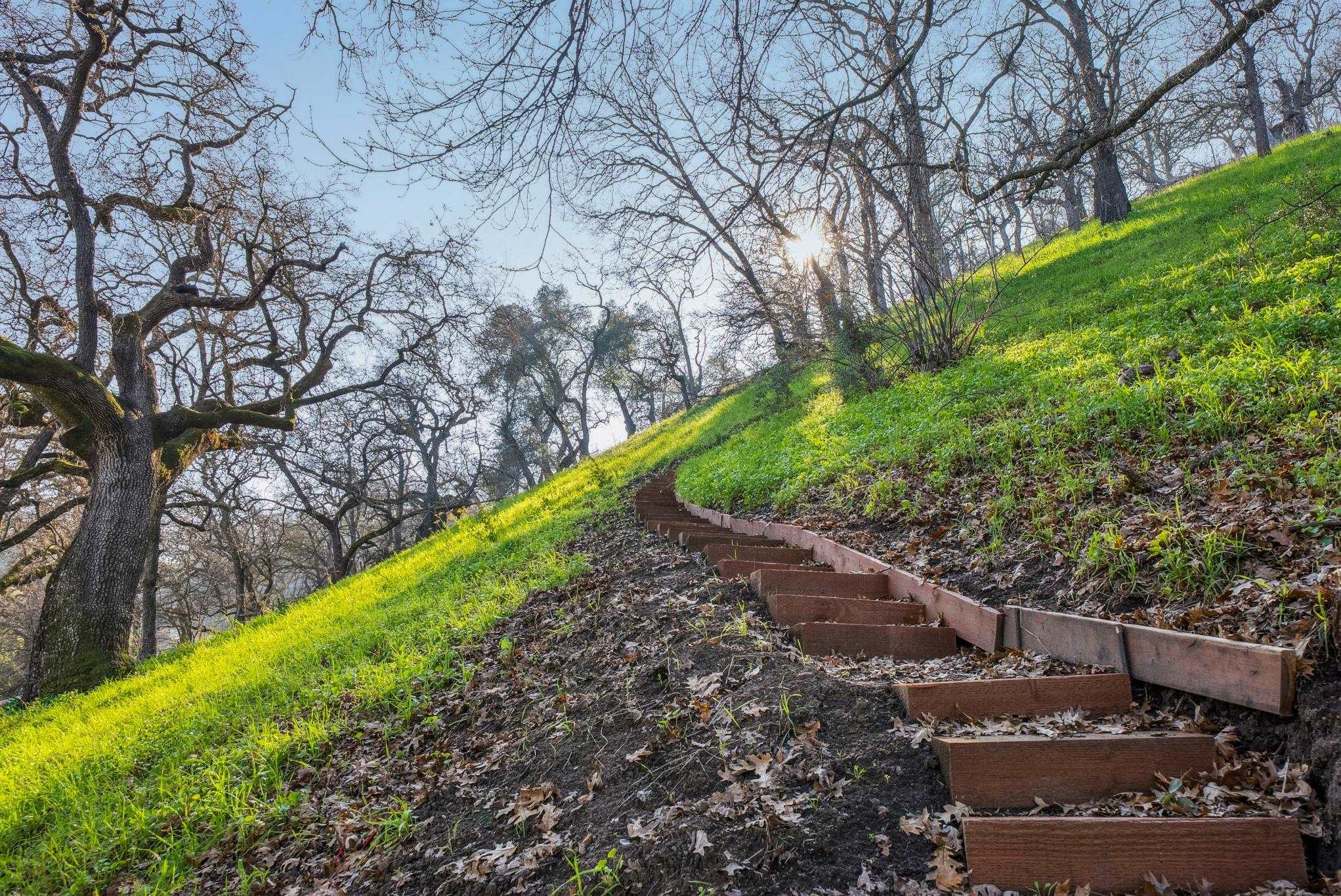 Detail Gallery Image 50 of 57 For 2435 Lunada, Alamo,  CA 94507-2610 - 3 Beds | 2/1 Baths