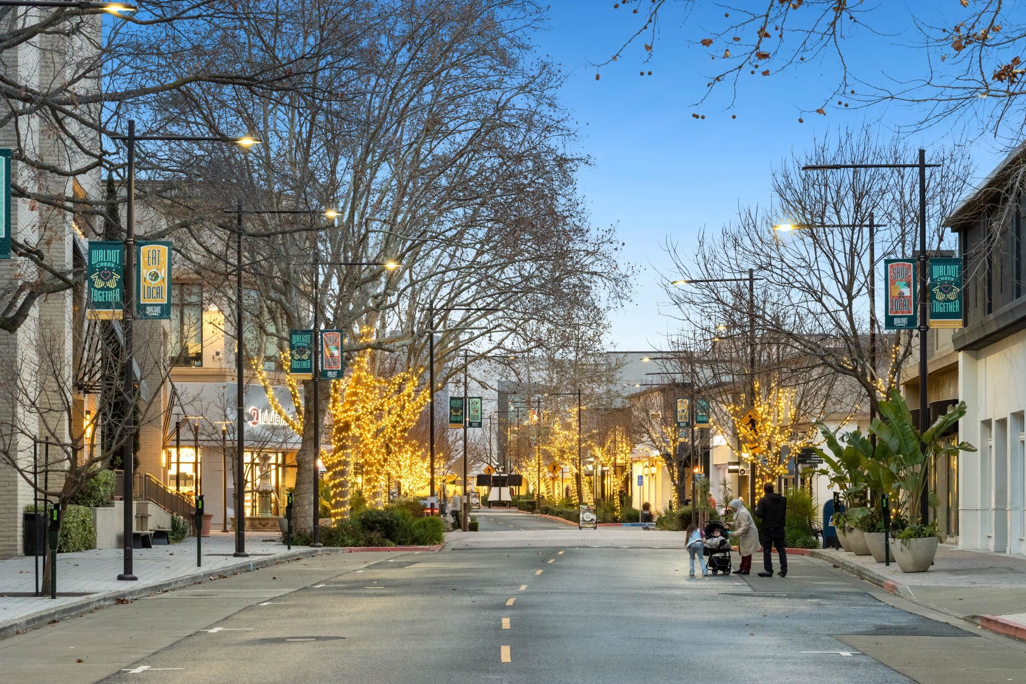 Photo #37: 41123960 Listing: Photo #37