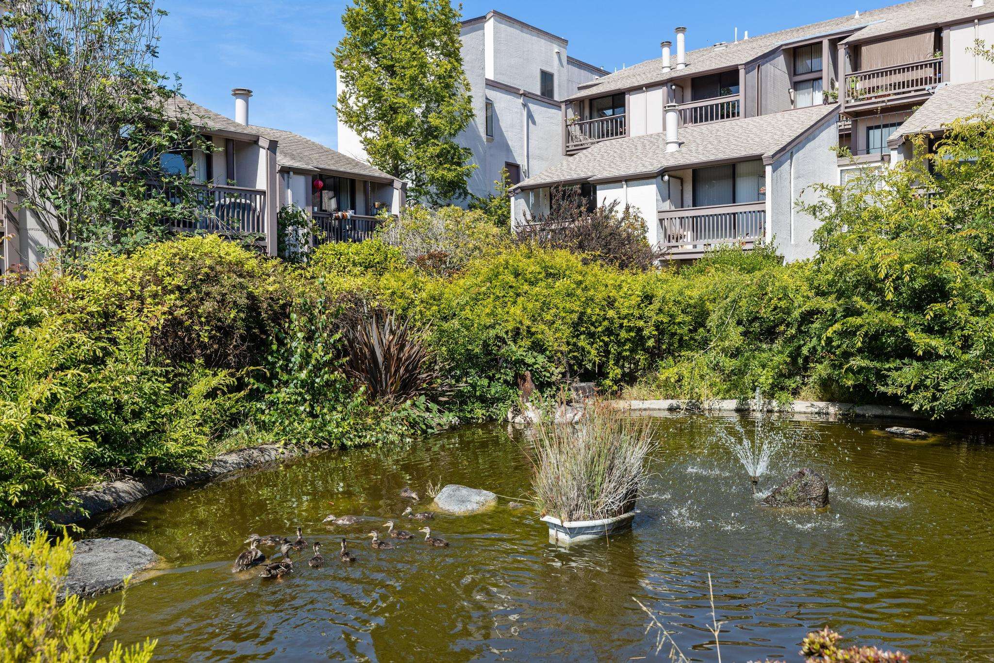 Photo #35: 41123990 Listing: Photo #35