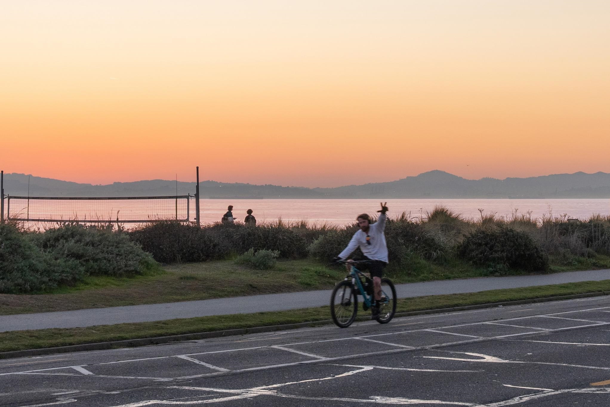 Photo #42: 41123990 Listing: Photo #42