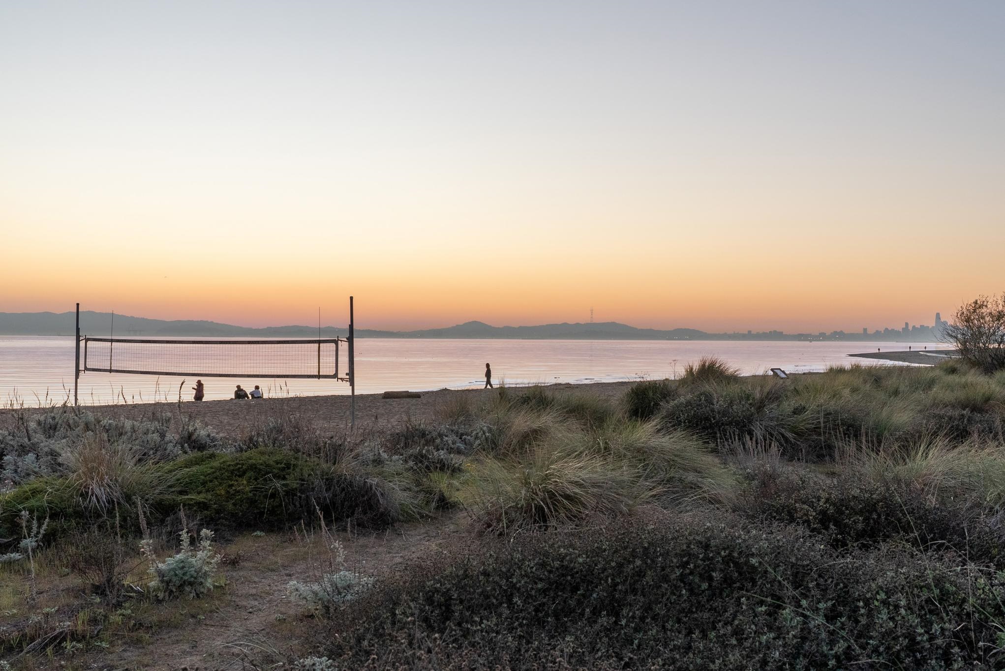 Photo #43: 41123990 Listing: Photo #43