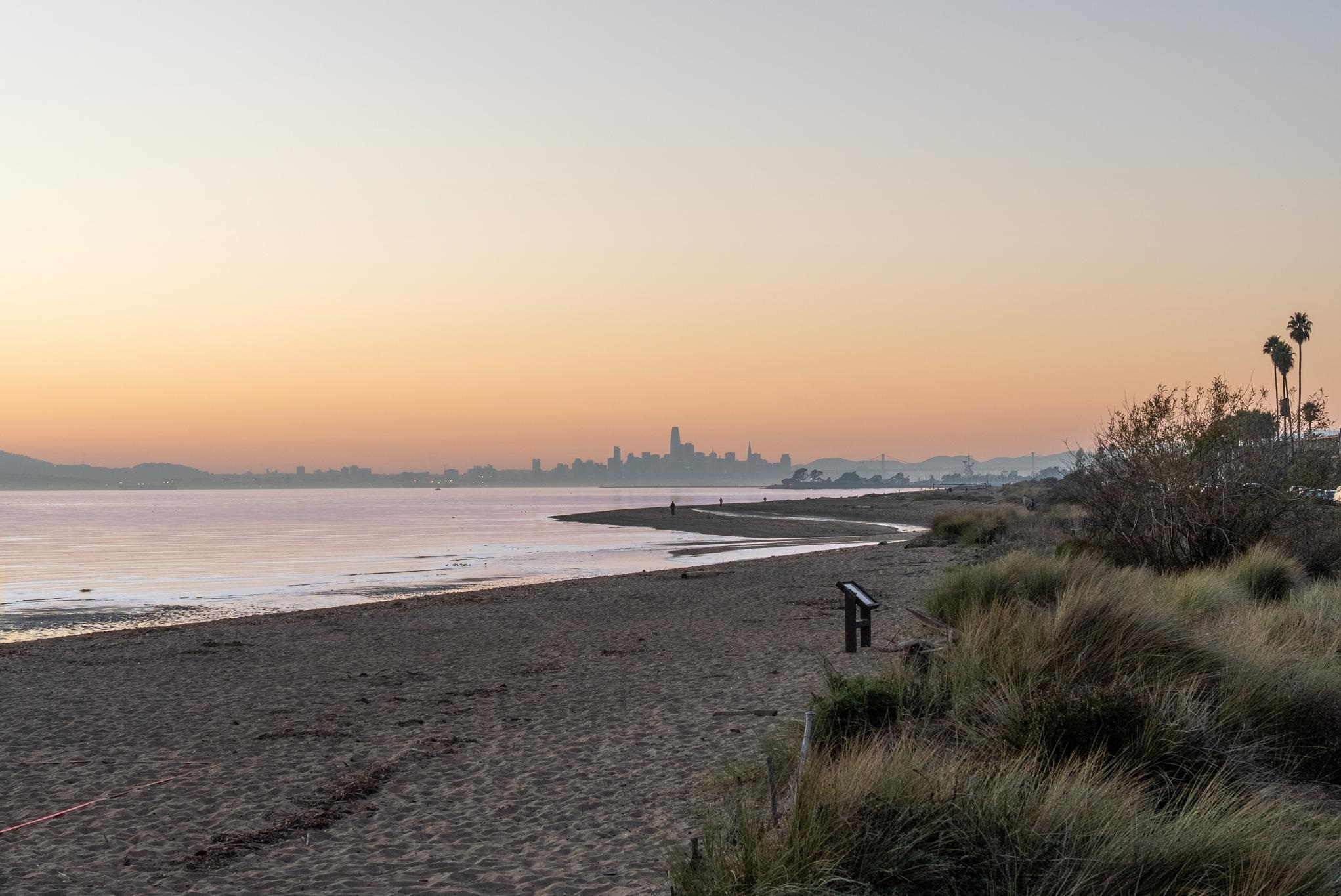 Photo #44: 41123990 Listing: Photo #44