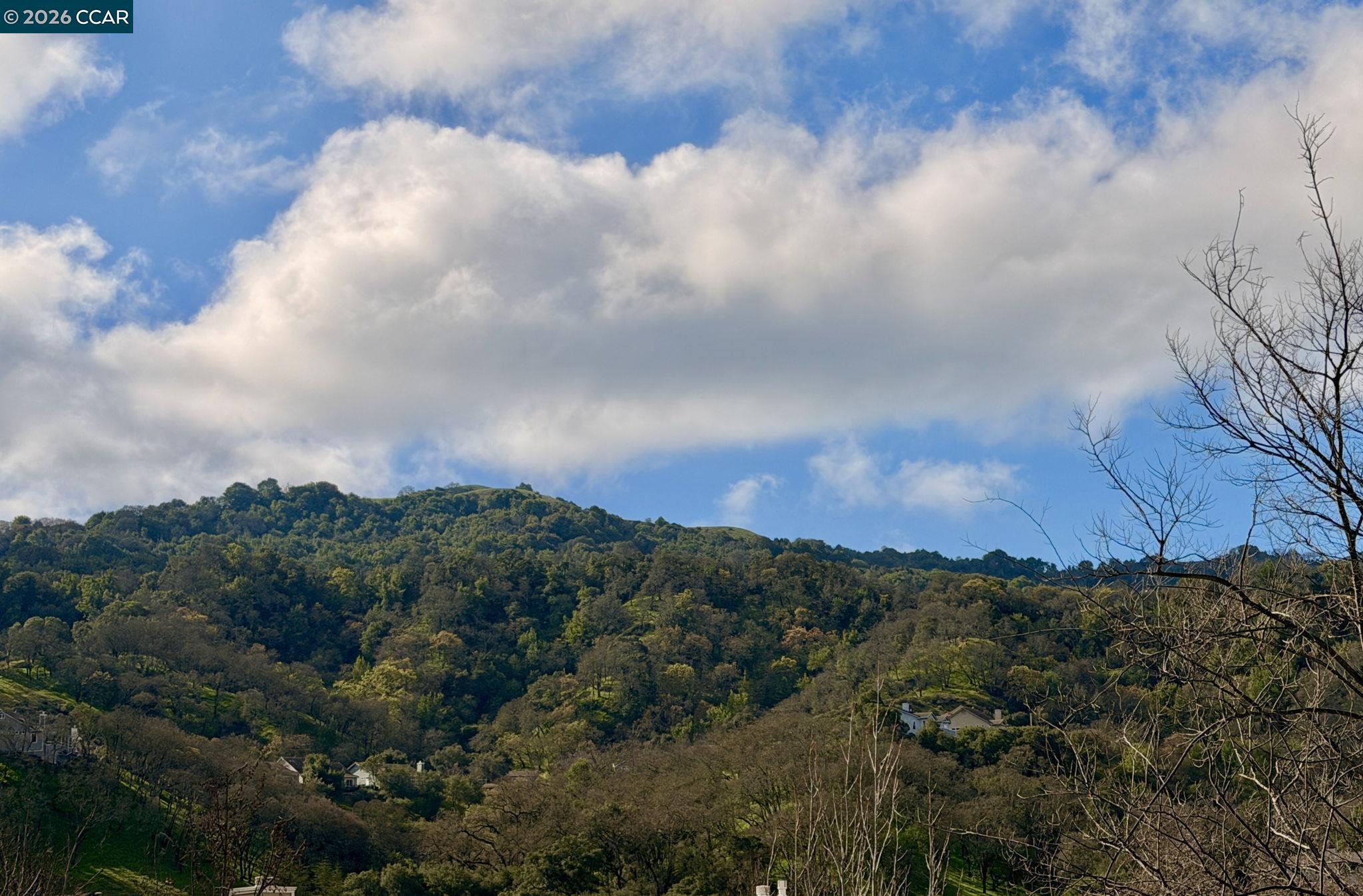 Detail Gallery Image 31 of 48 For 5201 Terra Granada Dr 2b,  Walnut Creek,  CA 94595 - 2 Beds | 2 Baths