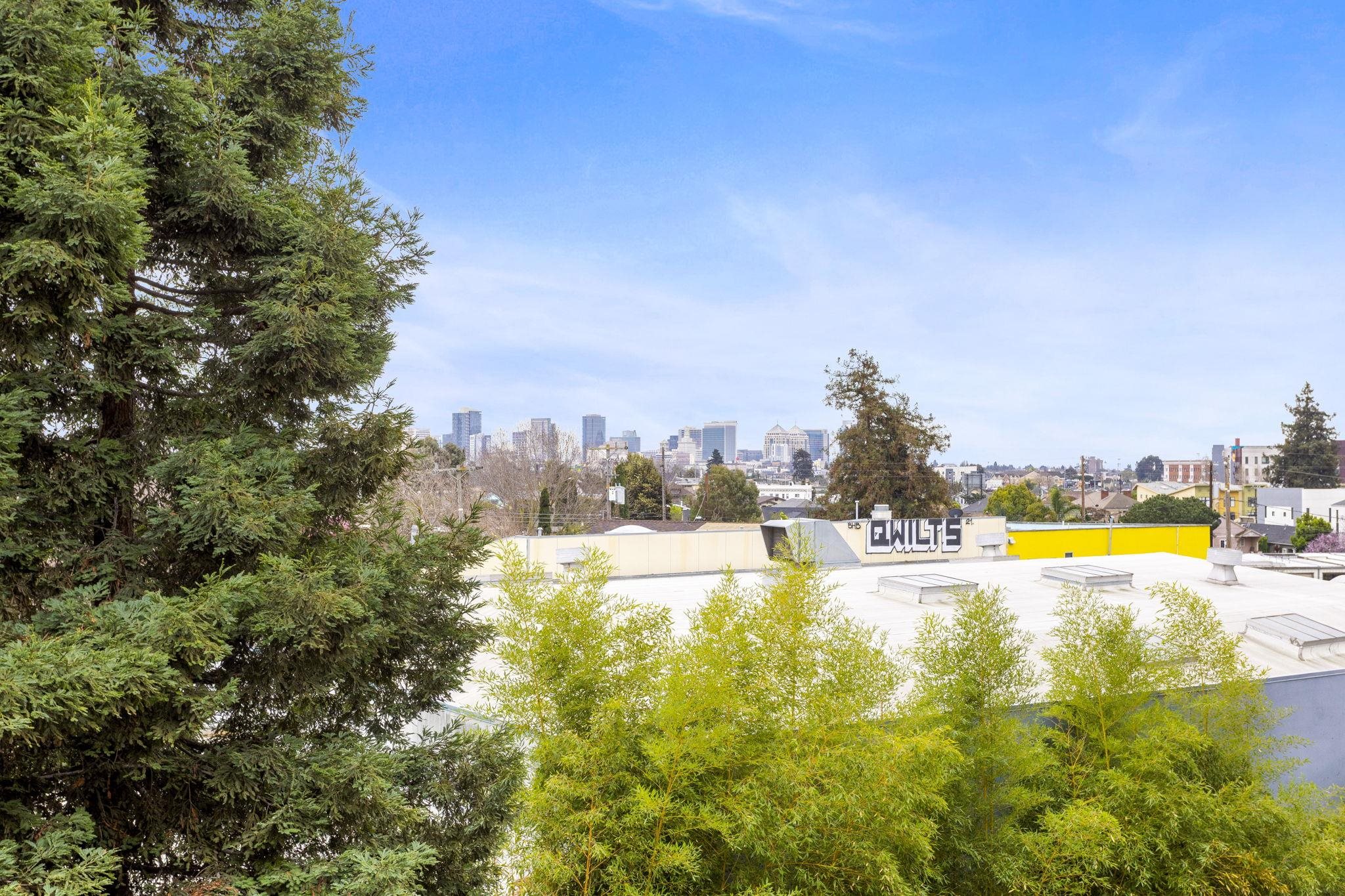 Photo #38: 41124035 Listing: Photo #38