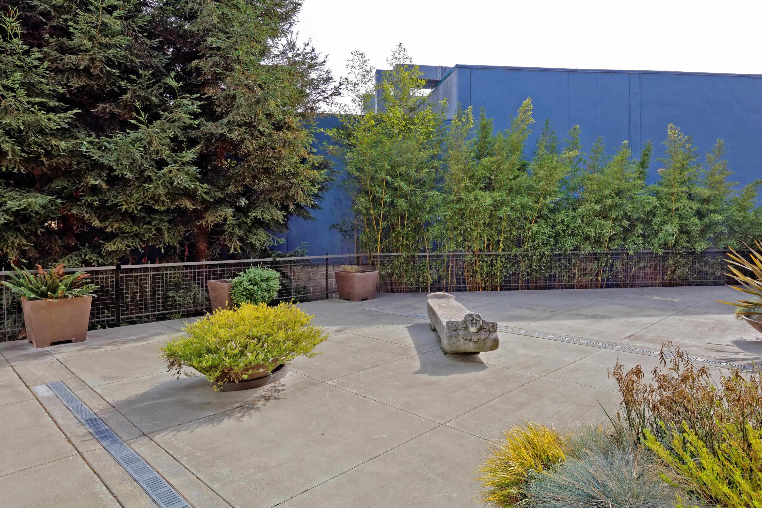 Photo #39: 41124035 Listing: Photo #39