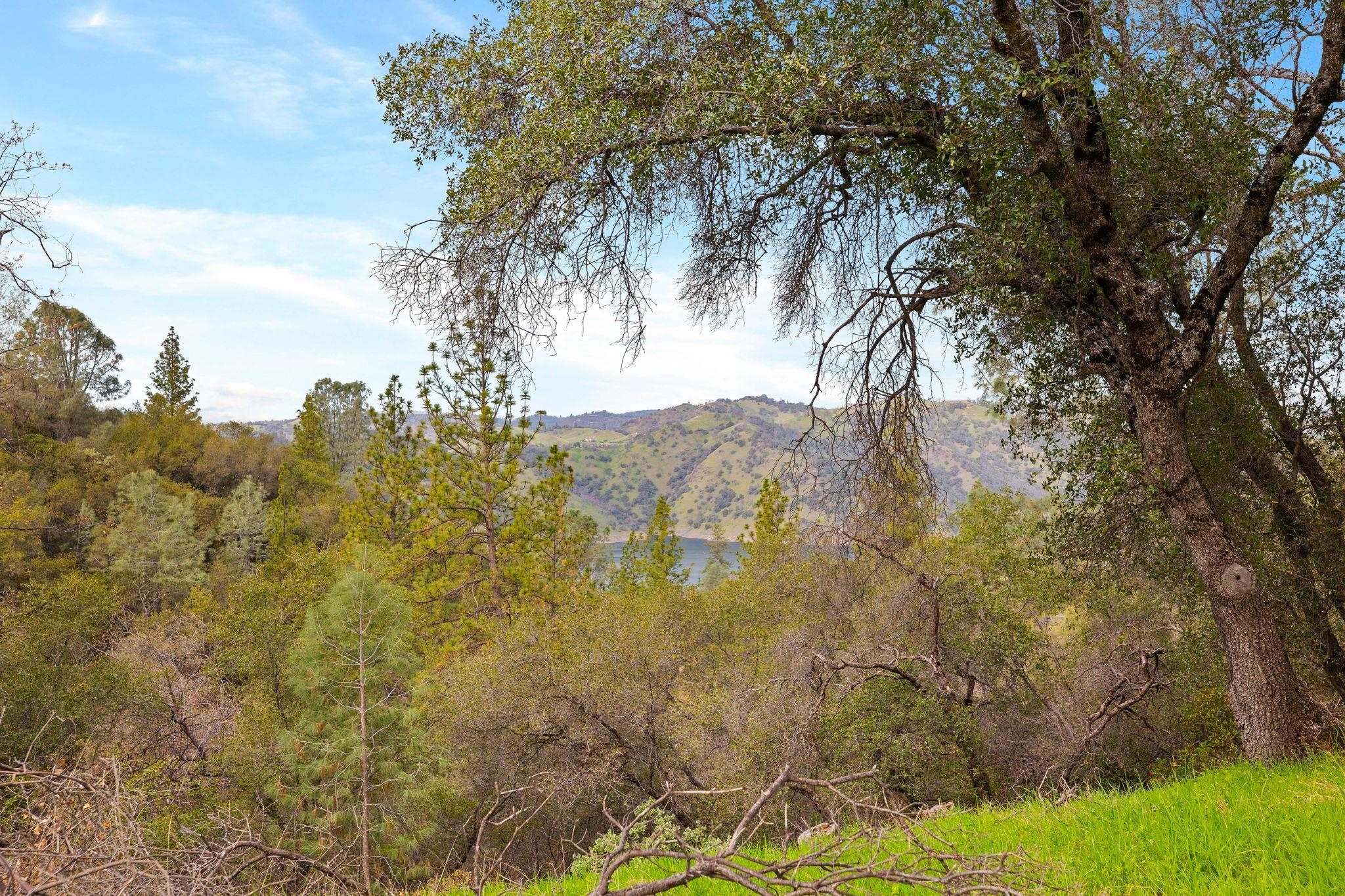 Detail Gallery Image 46 of 59 For 8650 Fraguero Rd, Sonora,  CA 95370 - 3 Beds | 2 Baths