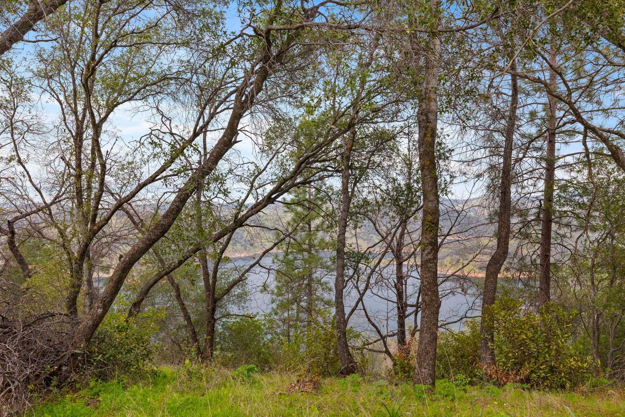 Detail Gallery Image 47 of 59 For 8650 Fraguero Rd, Sonora,  CA 95370 - 3 Beds | 2 Baths