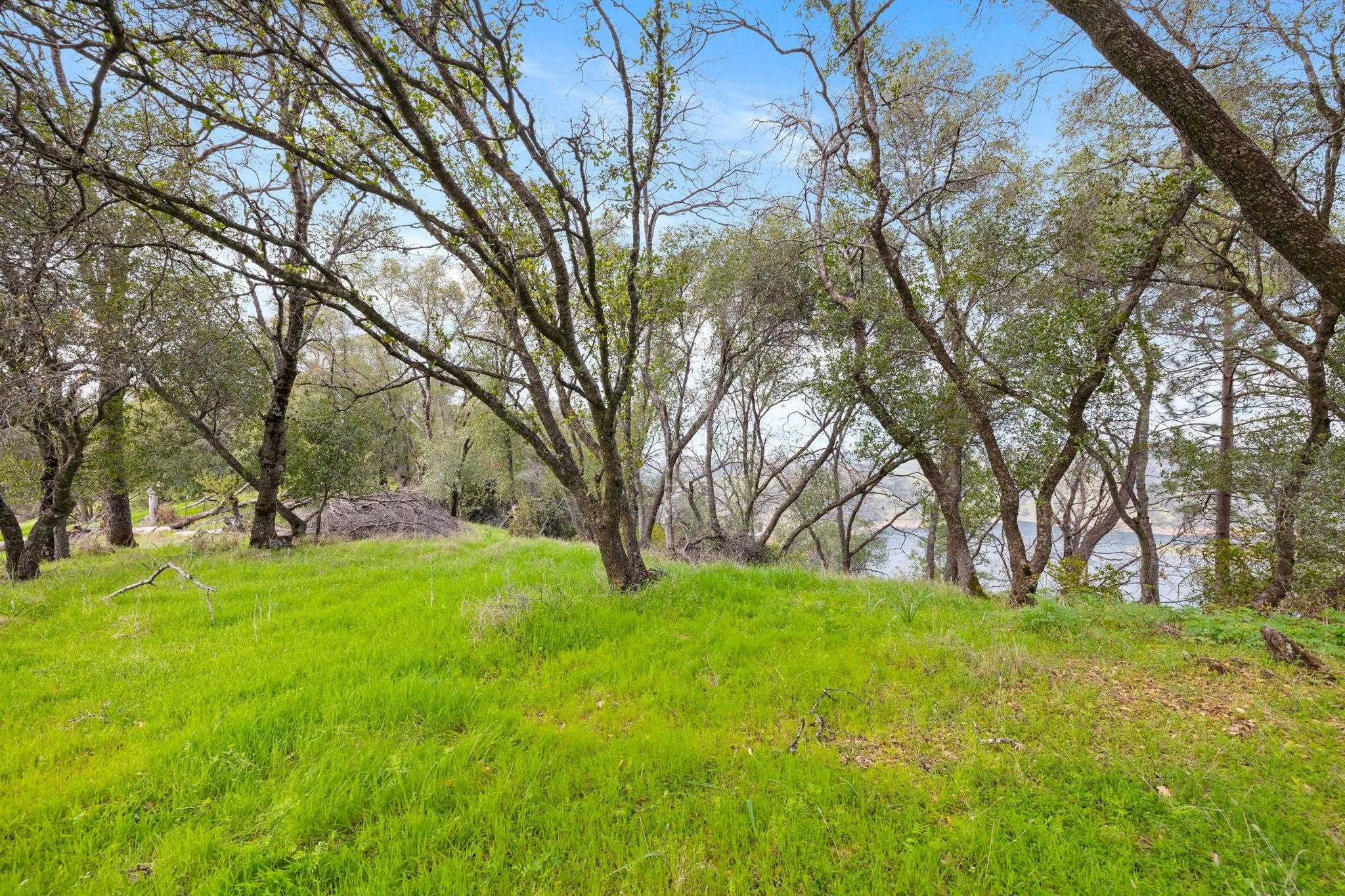 Detail Gallery Image 48 of 59 For 8650 Fraguero Rd, Sonora,  CA 95370 - 3 Beds | 2 Baths
