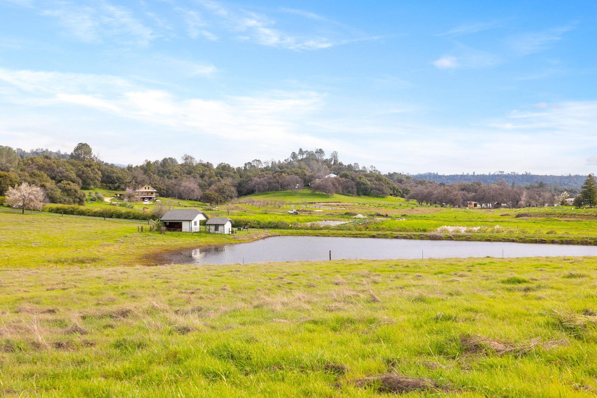 Detail Gallery Image 50 of 59 For 8650 Fraguero Rd, Sonora,  CA 95370 - 3 Beds | 2 Baths