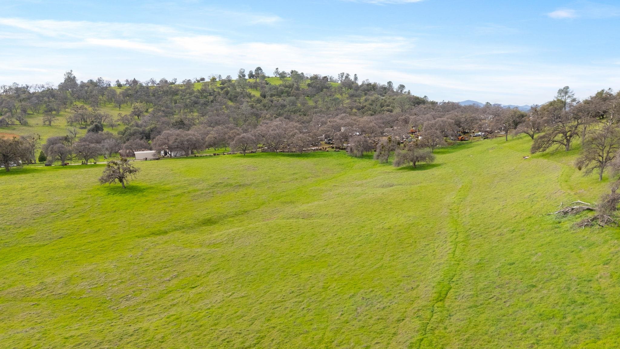 Detail Gallery Image 9 of 59 For 8650 Fraguero Rd, Sonora,  CA 95370 - 3 Beds | 2 Baths