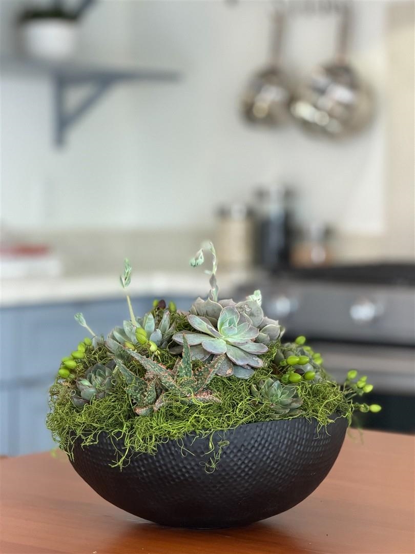 Detail Gallery Image 9 of 49 For 1447 Kains Ave, Berkeley,  CA 94702 - 1 Beds | 1 Baths