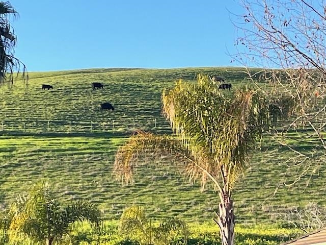 Detail Gallery Image 56 of 58 For 5227 Ramsdell Court, Antioch,  CA 94531-9119 - 4 Beds | 3 Baths