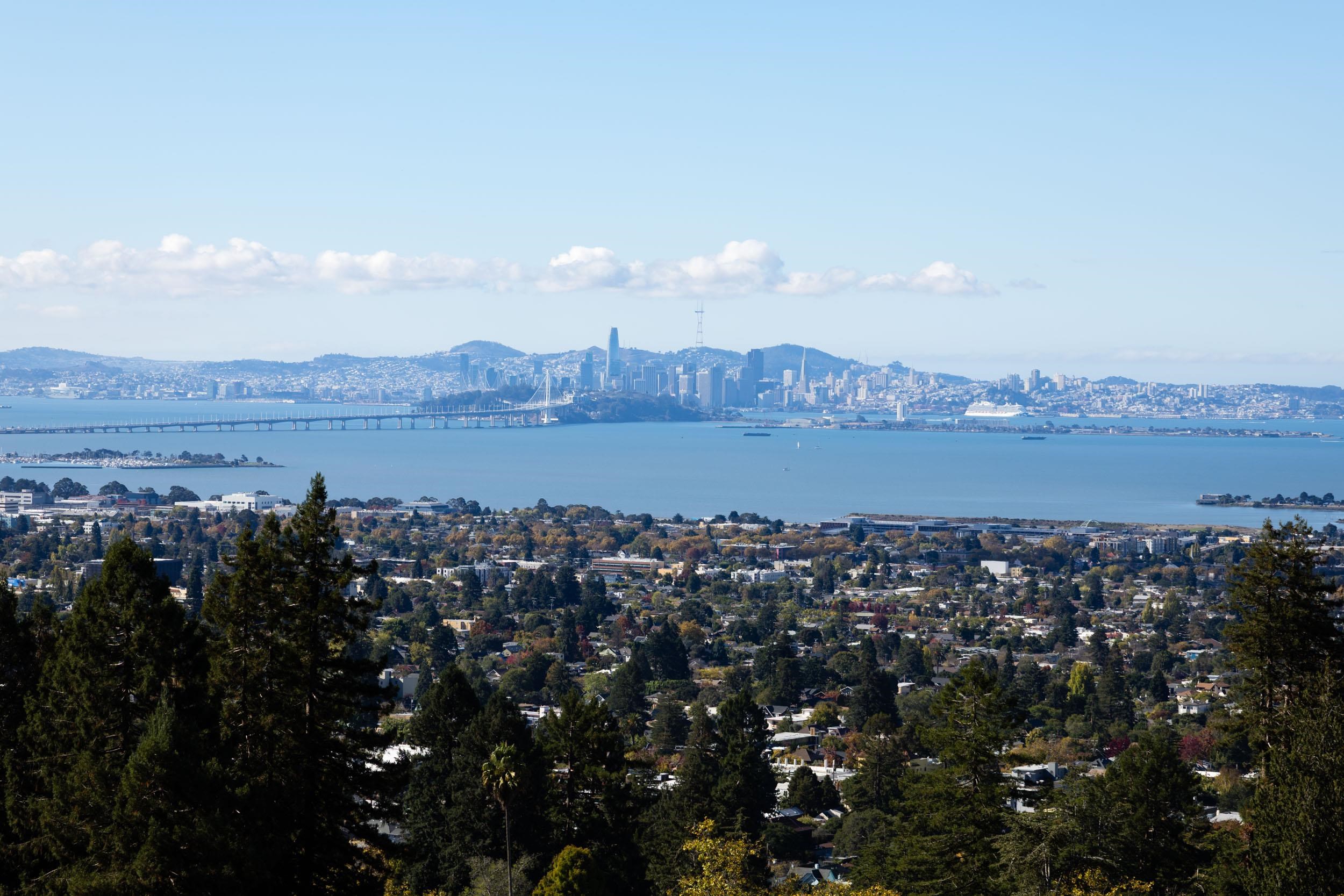 Detail Gallery Image 25 of 45 For 1136 Keith Ave, Berkeley,  CA 94708 - 4 Beds | 3/1 Baths