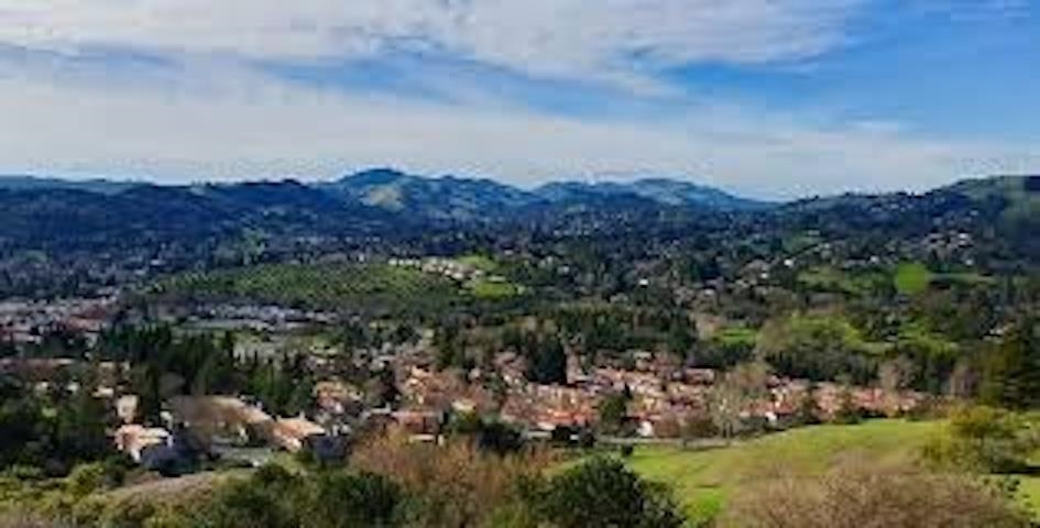 Photo #35: 41124099 Listing: Photo #35