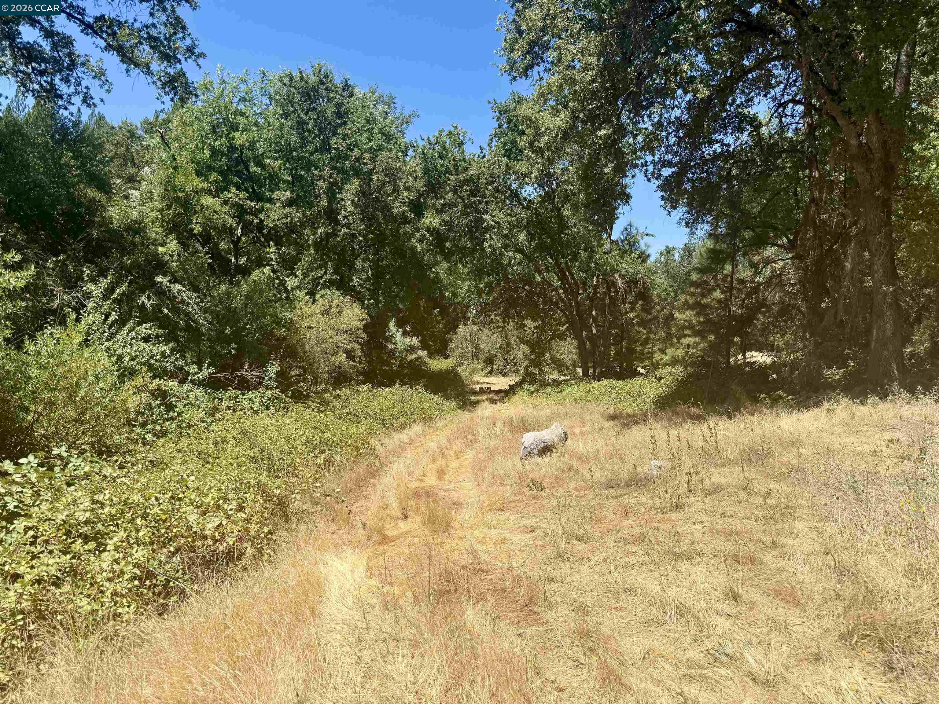 Detail Gallery Image 15 of 25 For 4578 Pretty Good Rd, Placerville,  CA 95667 - – Beds | – Baths