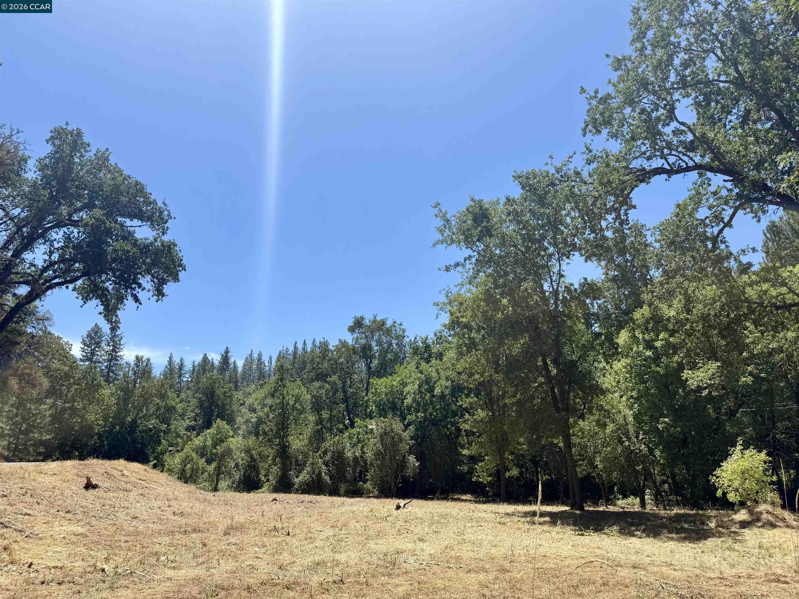 Detail Gallery Image 22 of 25 For 4578 Pretty Good Rd, Placerville,  CA 95667 - – Beds | – Baths