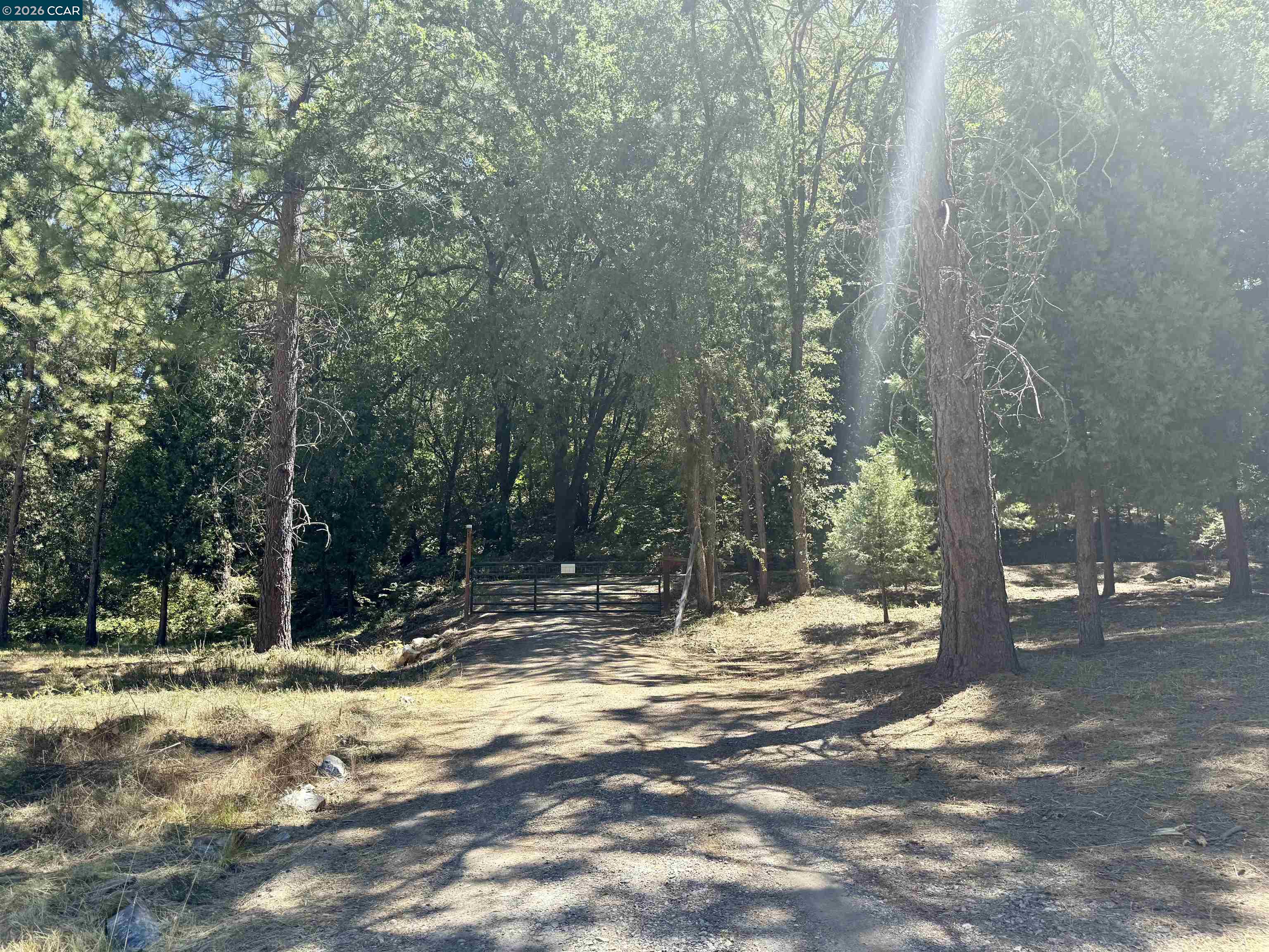 Detail Gallery Image 4 of 25 For 4578 Pretty Good Rd, Placerville,  CA 95667 - – Beds | – Baths