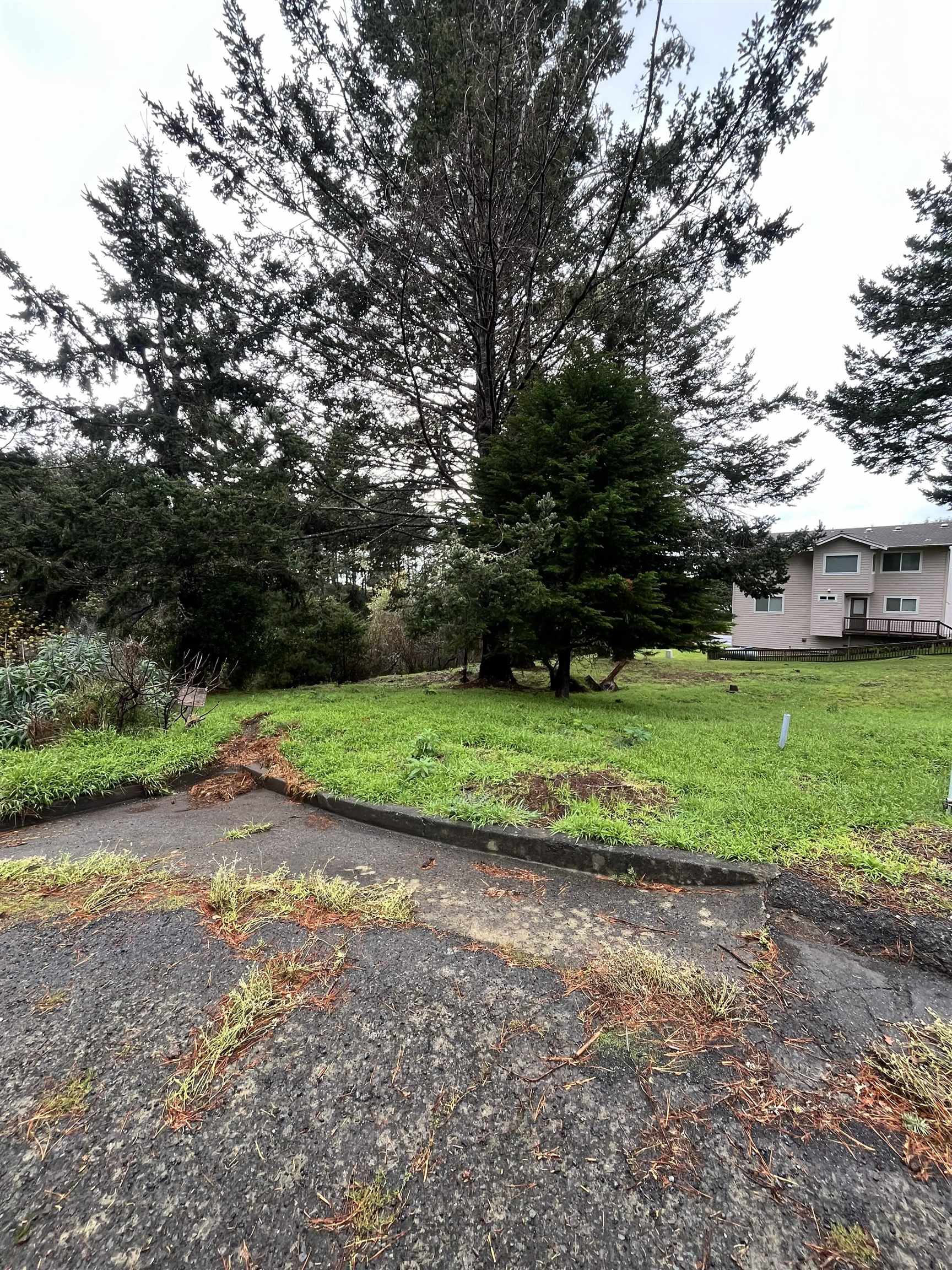 Detail Gallery Image 6 of 6 For 22 Spruce Ct, Whitethorn,  CA 95589 - – Beds | – Baths